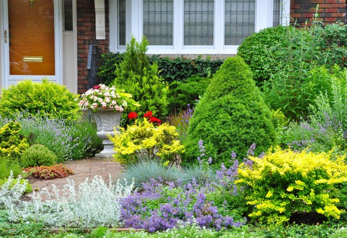 Landscaping yard front ideas unique landscape garden type file jpeg